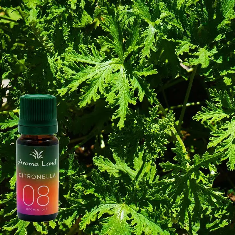 Citronella, 10 ml, ulei parfumat, pentru aromaterapie si odorizare