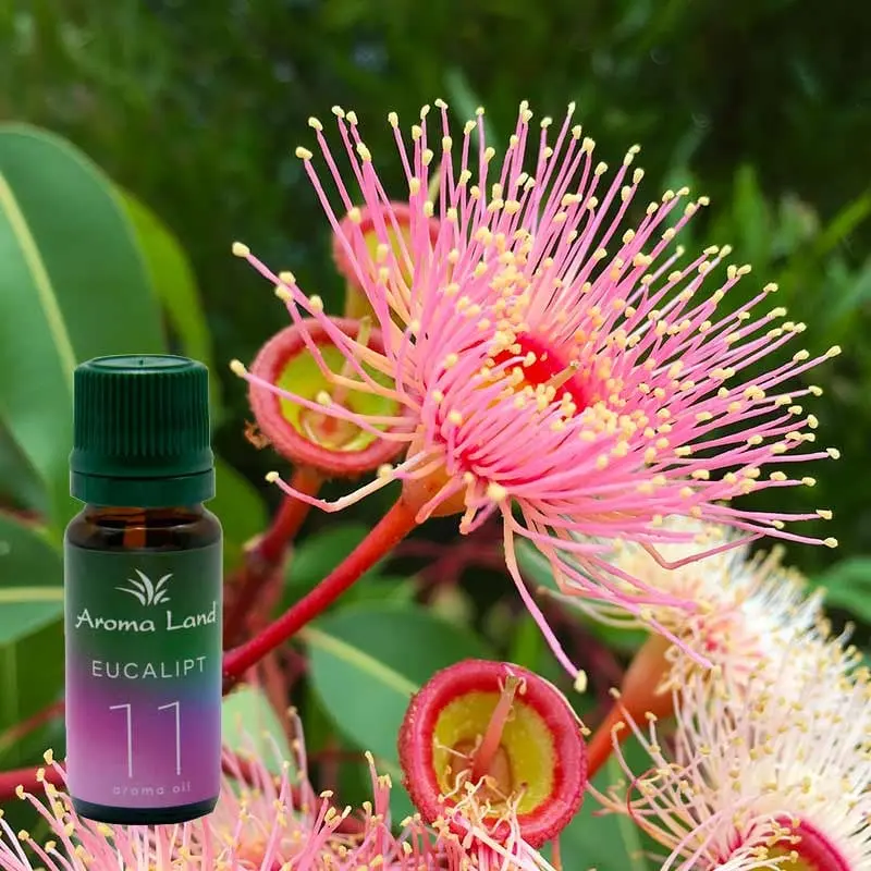 Eucalipt, 10 ml, ulei parfumat, pentru aromaterapie si odorizare