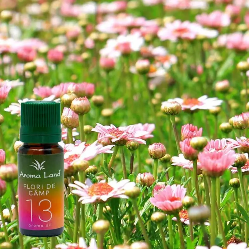 Flori de camp, 10 ml, ulei parfumat, pentru aromaterapie si odorizare