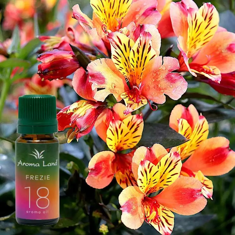 Frezie, 10 ml, ulei parfumat, pentru aromaterapie si odorizare