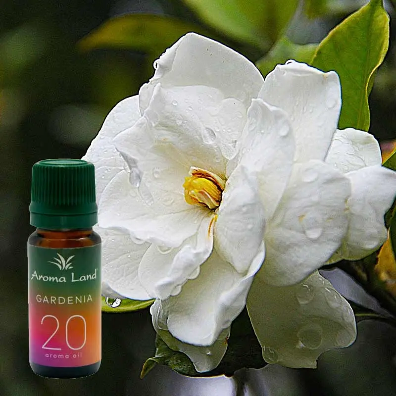 Gardenia, 10 ml, ulei parfumat, pentru aromaterapie si odorizare