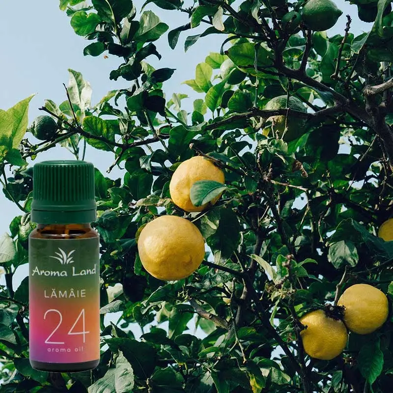 Lamaie, 10 ml, ulei parfumat, pentru aromaterapie si odorizare