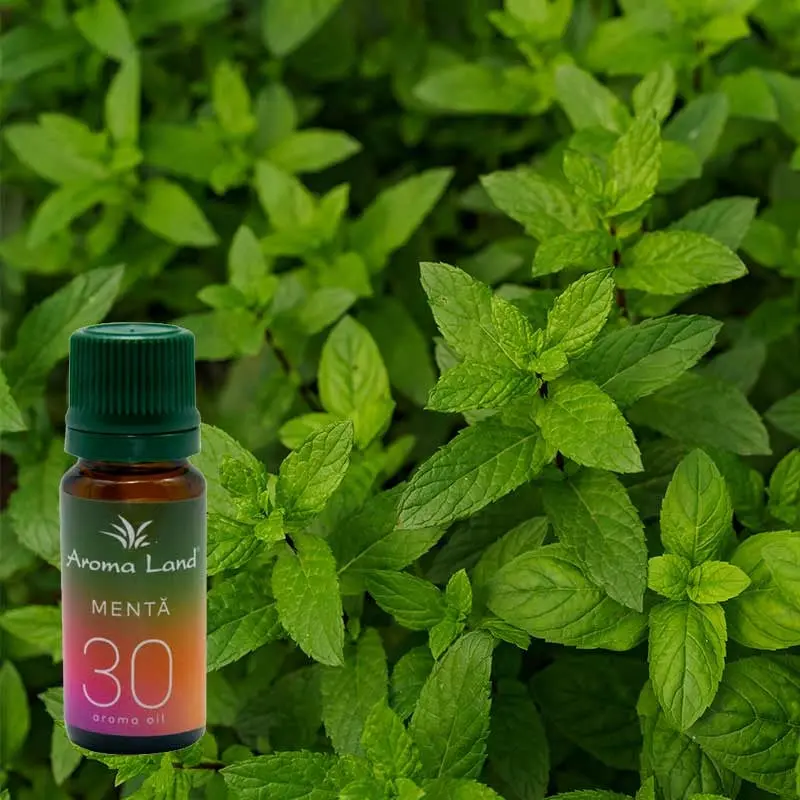 Menta, 10 ml, ulei parfumat, pentru aromaterapie si odorizare