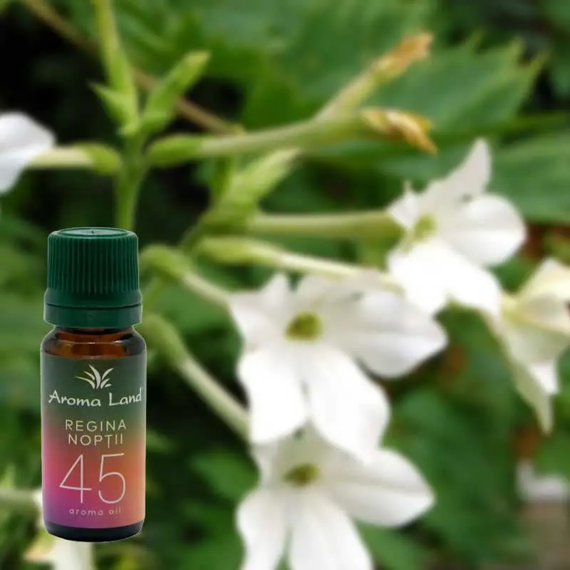 Regina noptii, 10 ml, ulei parfumat, pentru aromaterapie si odorizare