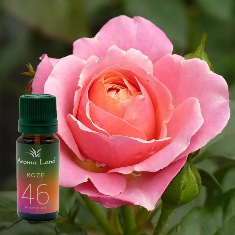 Roze, 10 ml, ulei parfumat, pentru aromaterapie si odorizare