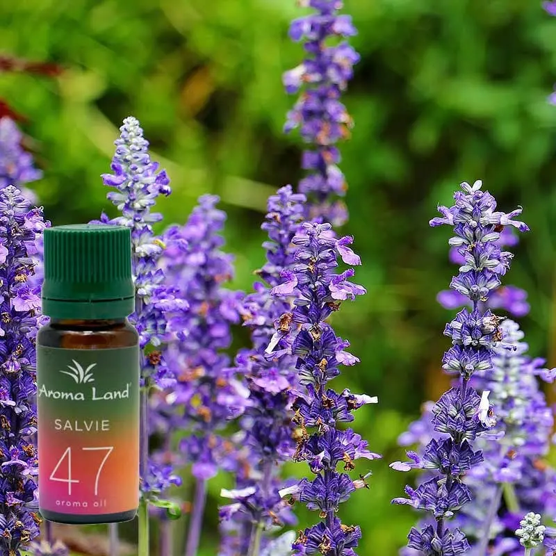 Salvie, 10 ml, ulei parfumat, pentru aromaterapie si odorizare