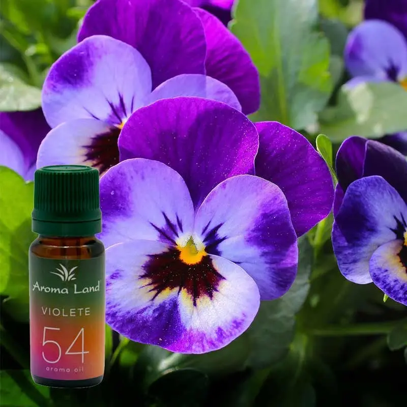 Vanilie, 10 ml, ulei parfumat, pentru aromaterapie si odorizare