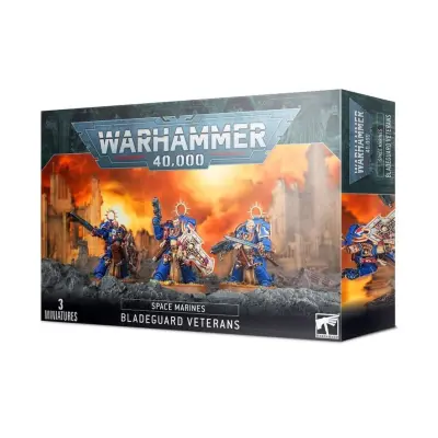 Space marines bladeguard veterans, model 48-44